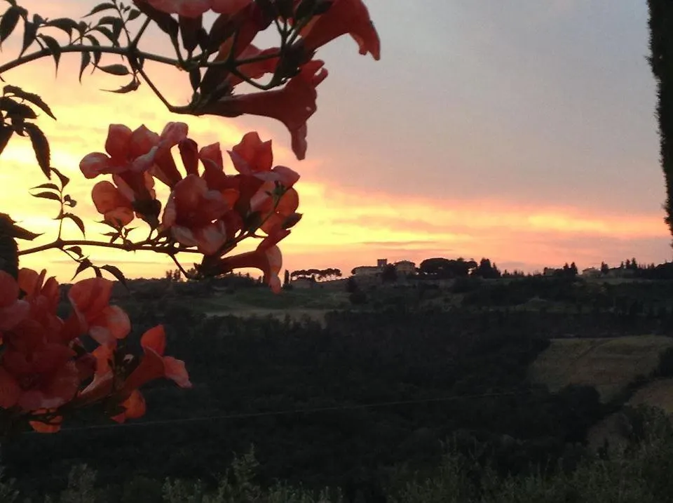 Affittacamere Hotel Il Glicine San Gimignano